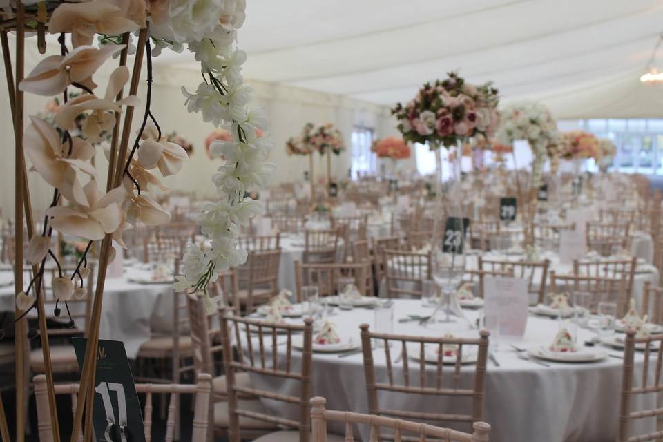 Velvet - il Catering -