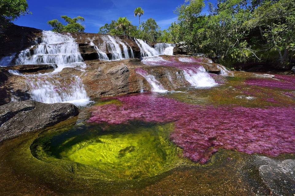 Cano cristales