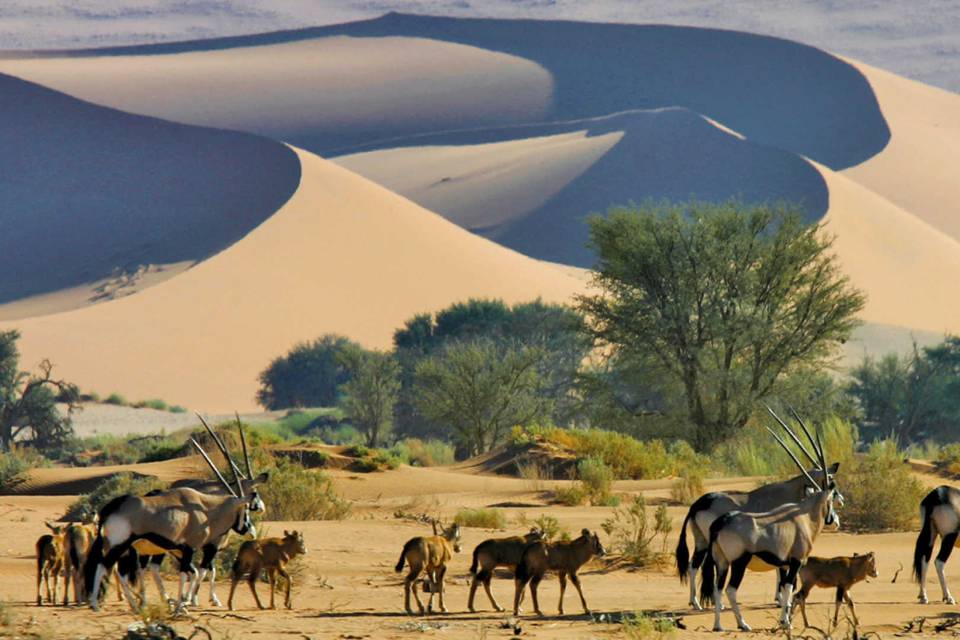 Namibia