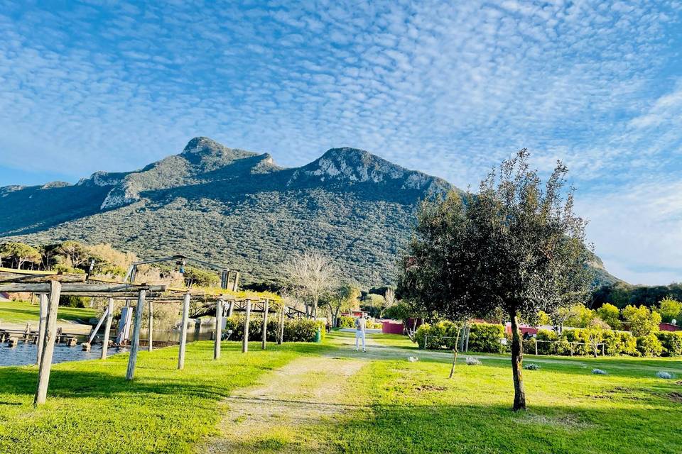 Tenuta Clementino