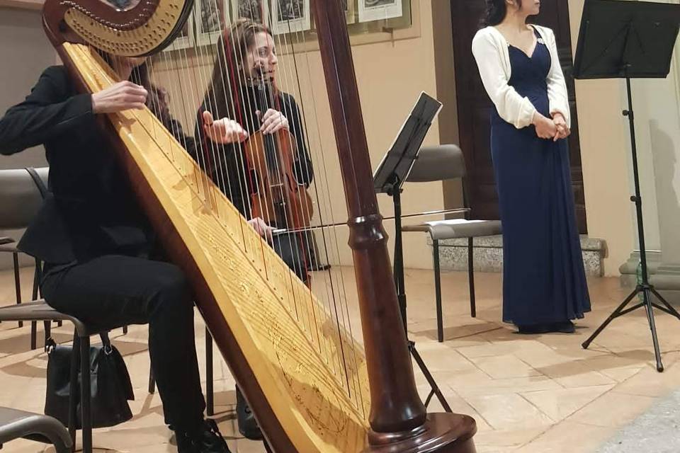 Trio di arpa, violino e canto