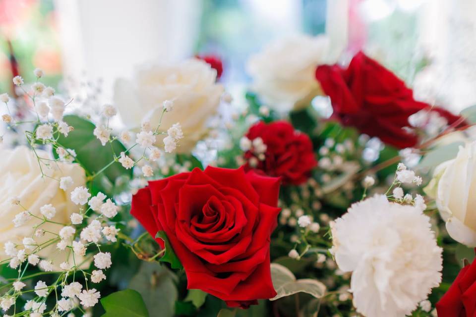 Rose rosse