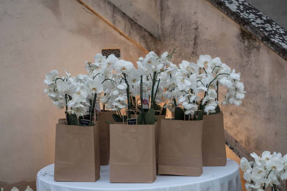 Plant bar