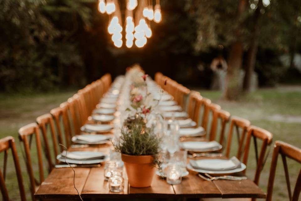 Table setting