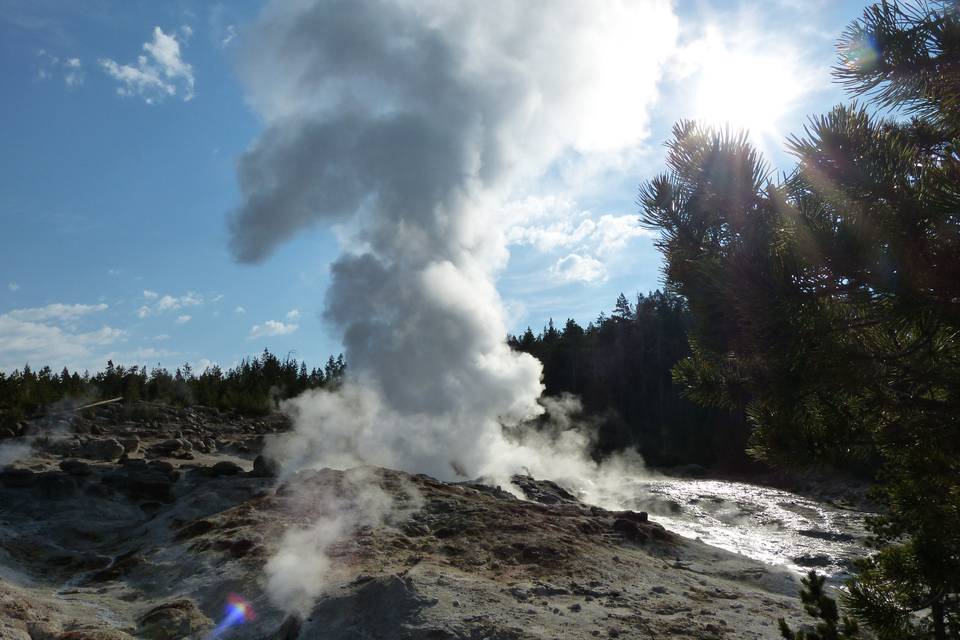 USA- Yellowstone NP