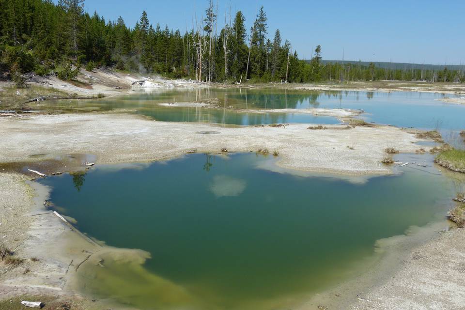 USA- Yellowstone NP