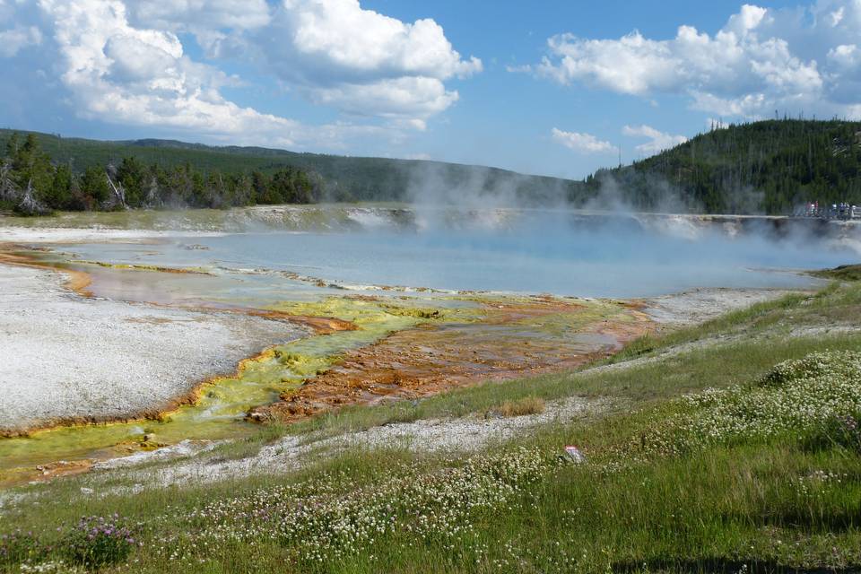 USA- Yellowstone NP