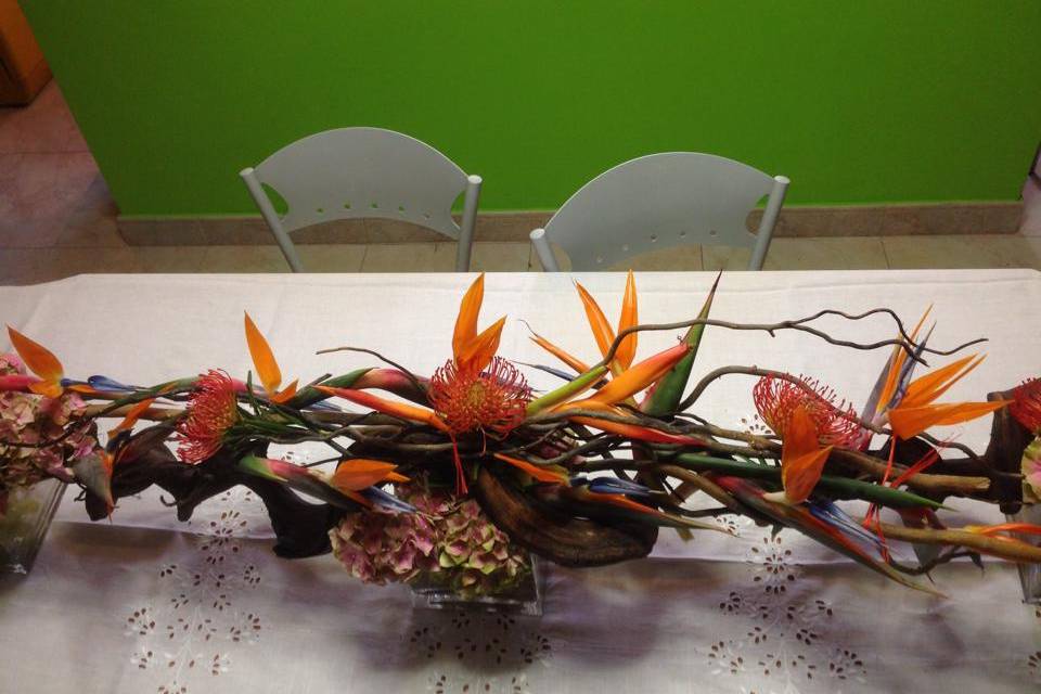 Ikebana di Natale Antonietta