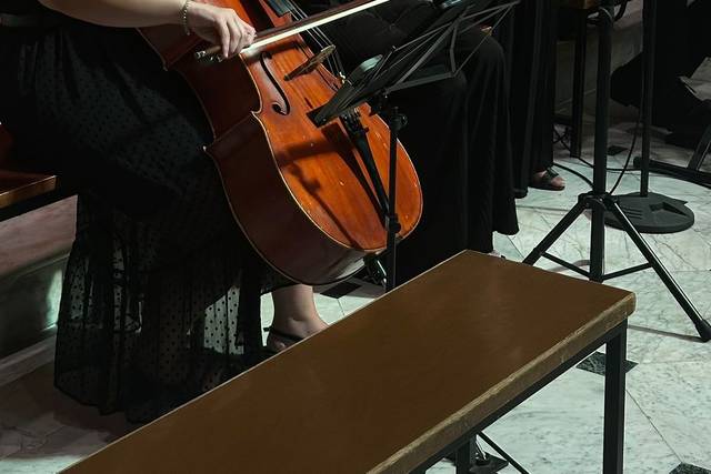 Voce piano violino violoncello