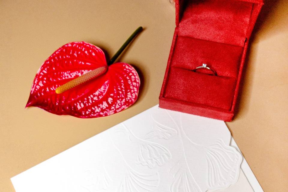 Wedding 2026