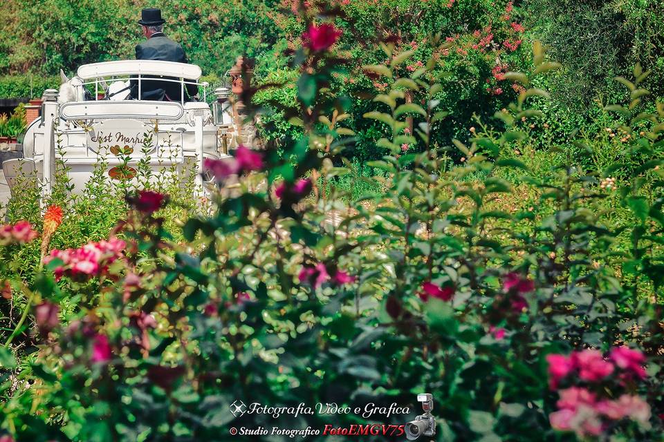 Fotografia di Matrimonio