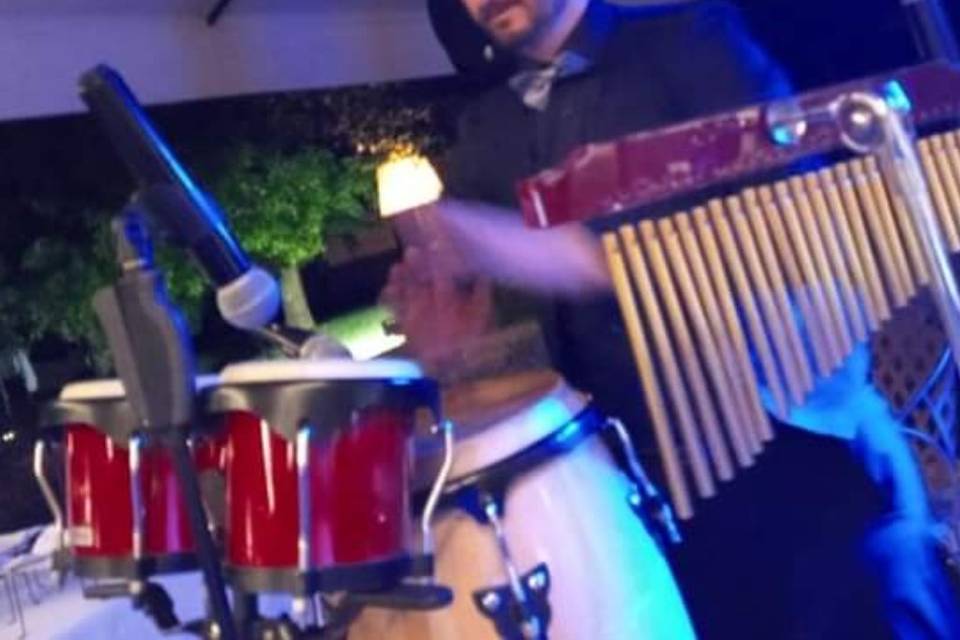 Festa, percussioni live