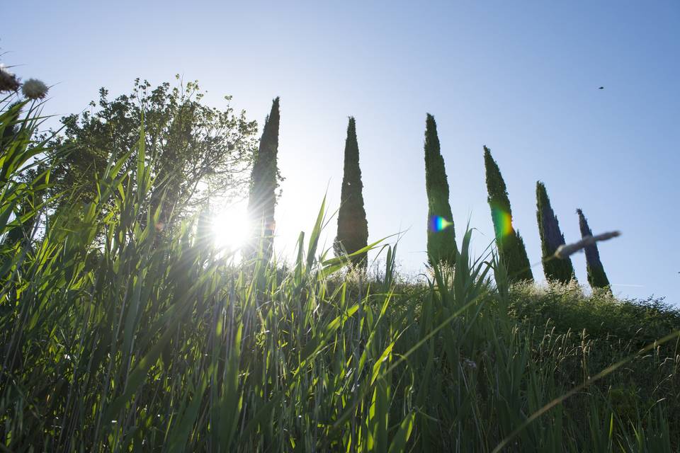 Agriturismo Poggio Corbello