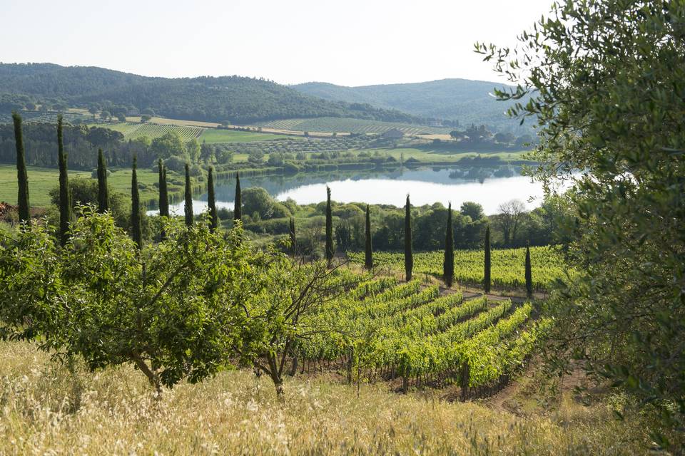 Agriturismo Poggio Corbello