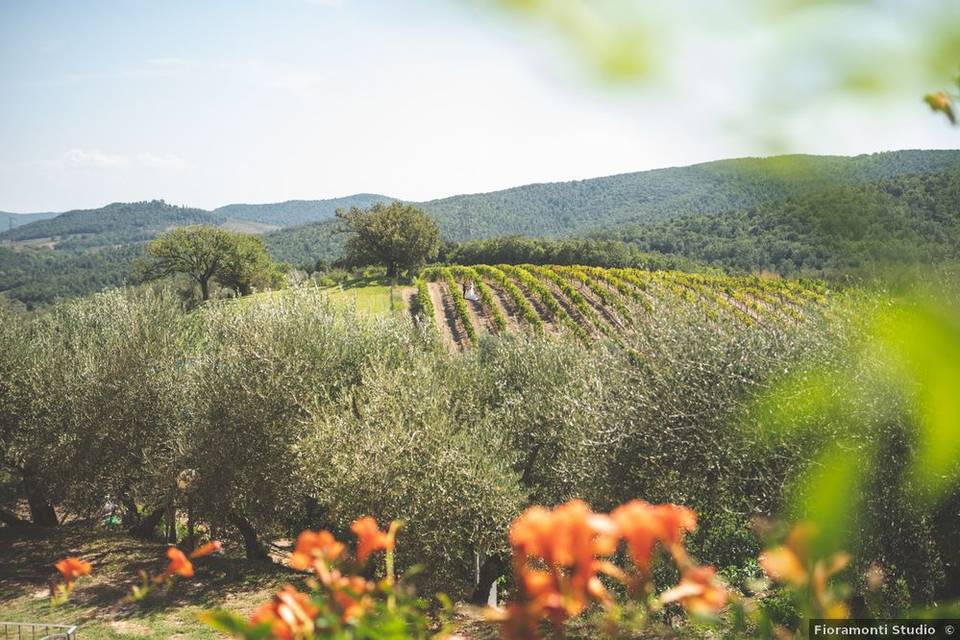 Agriturismo Poggio Corbello