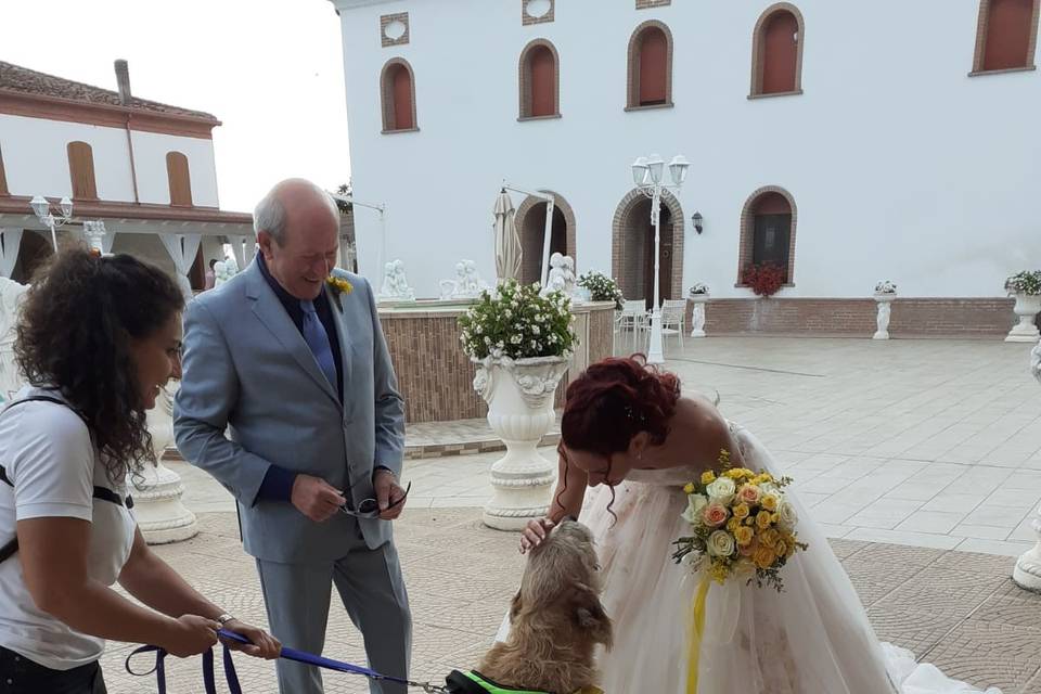 Silvia Wedding Dog Sitter