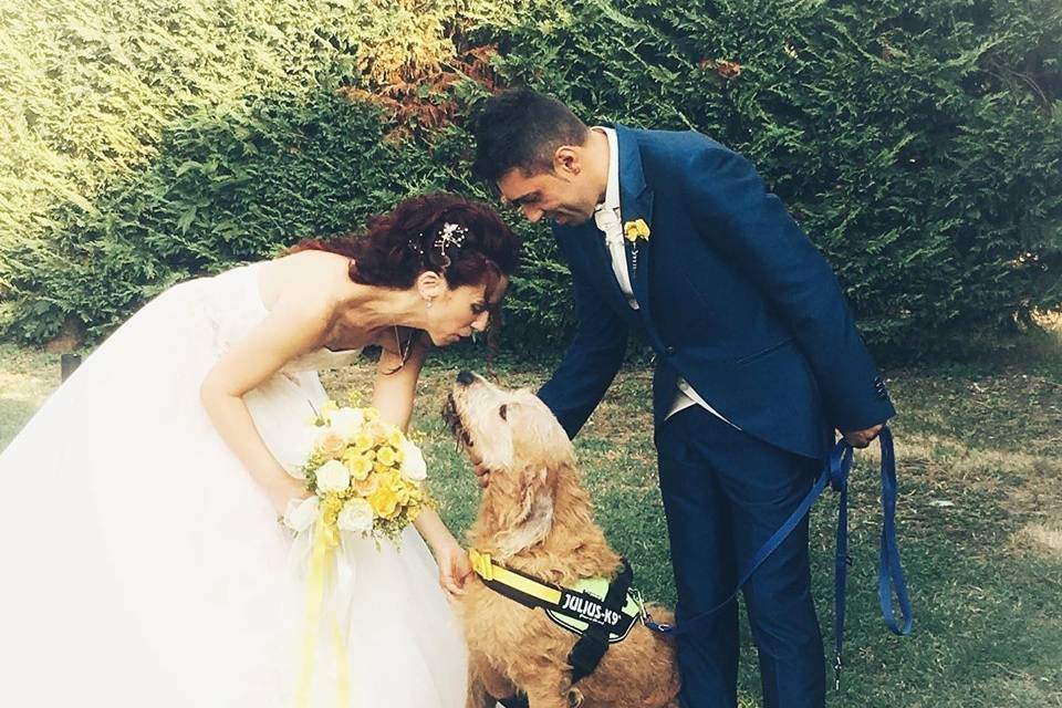 Silvia Wedding Dog Sitter