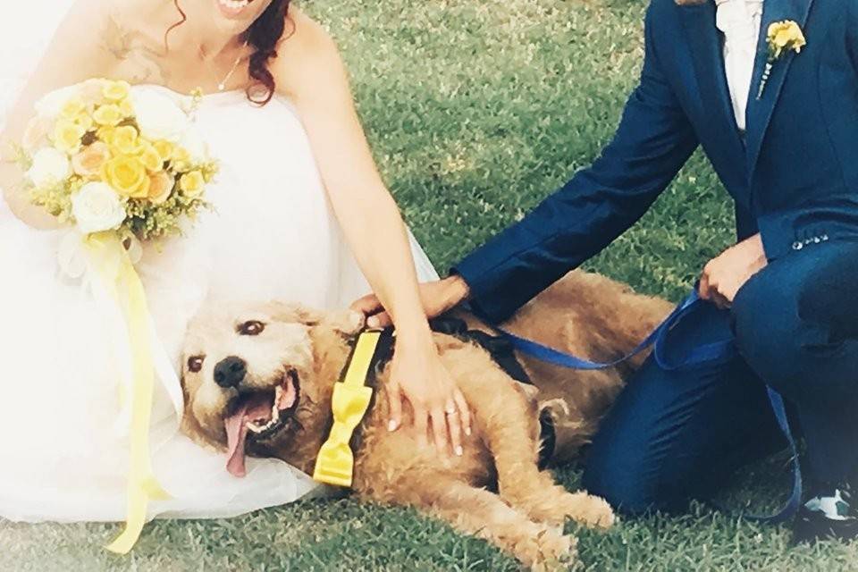 Silvia Wedding Dog Sitter