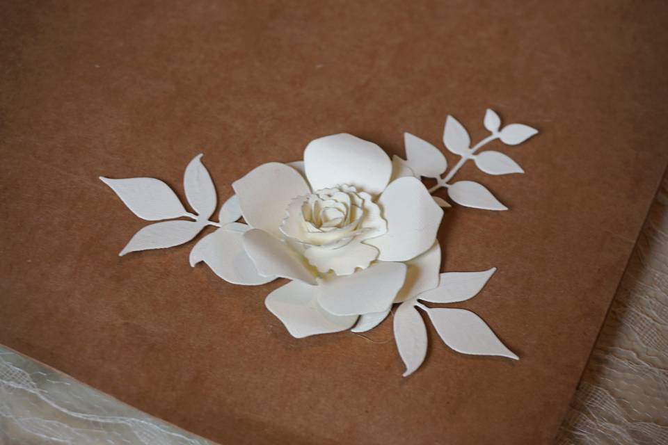 Elegant Paper Spring