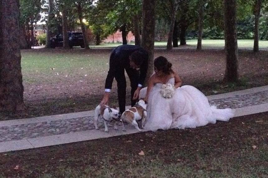 Silvia Wedding Dog Sitter