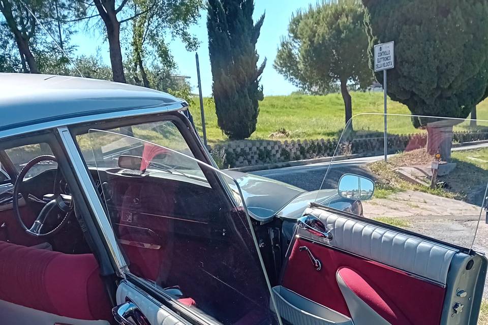 Pura Eleganza Francese