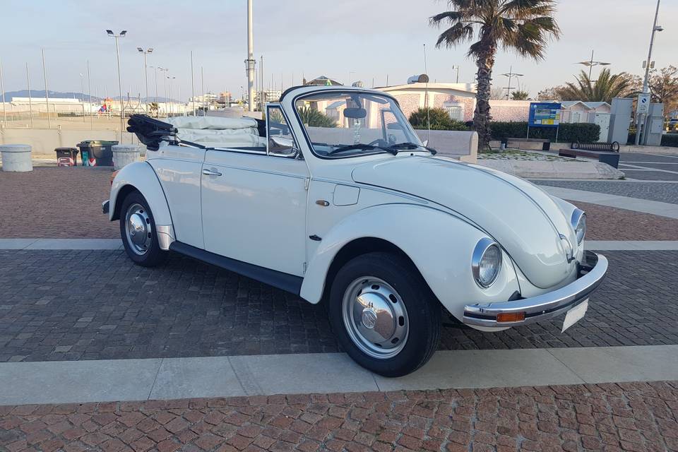 Maggiolino a Rimini