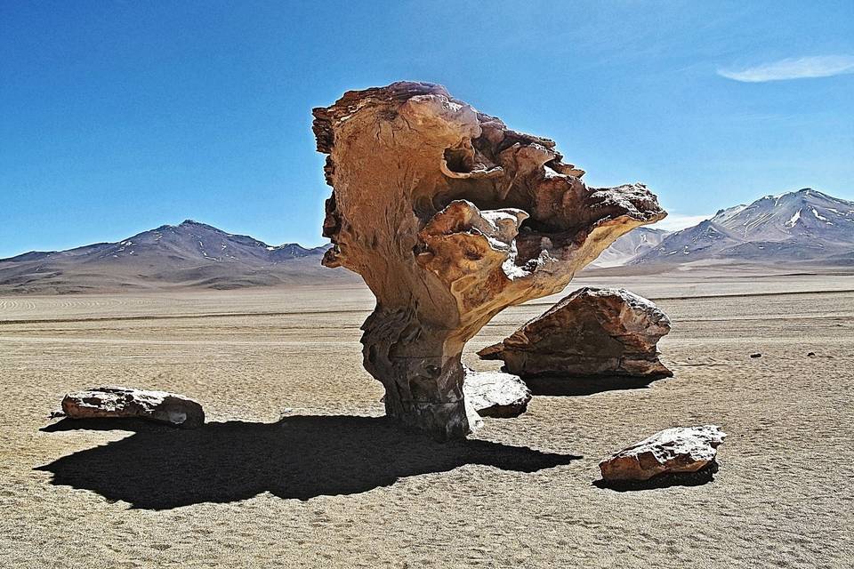 Deserto di Atacama - Cile