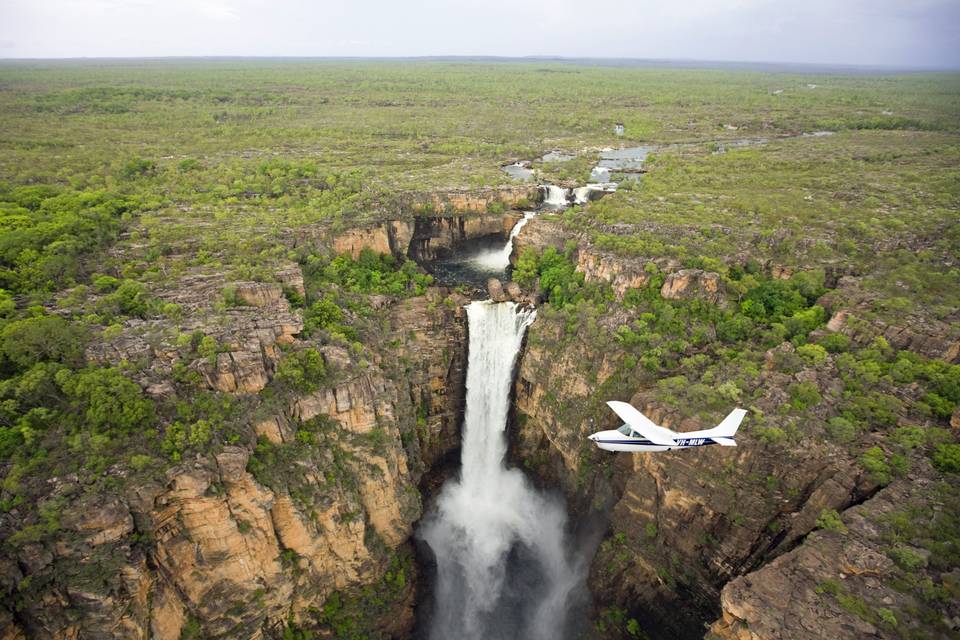 Kakadu - Australia