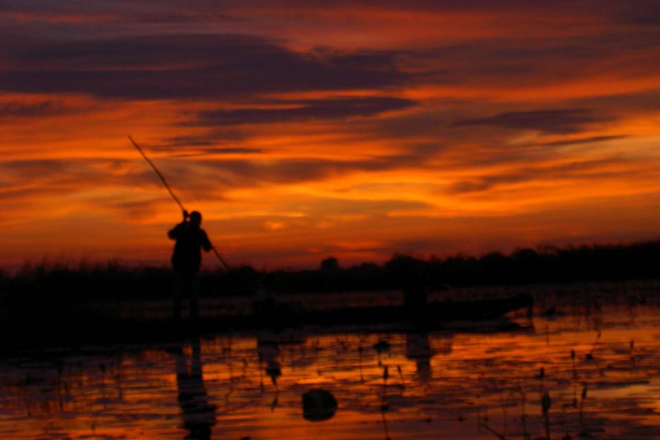 Okavango - Botswana