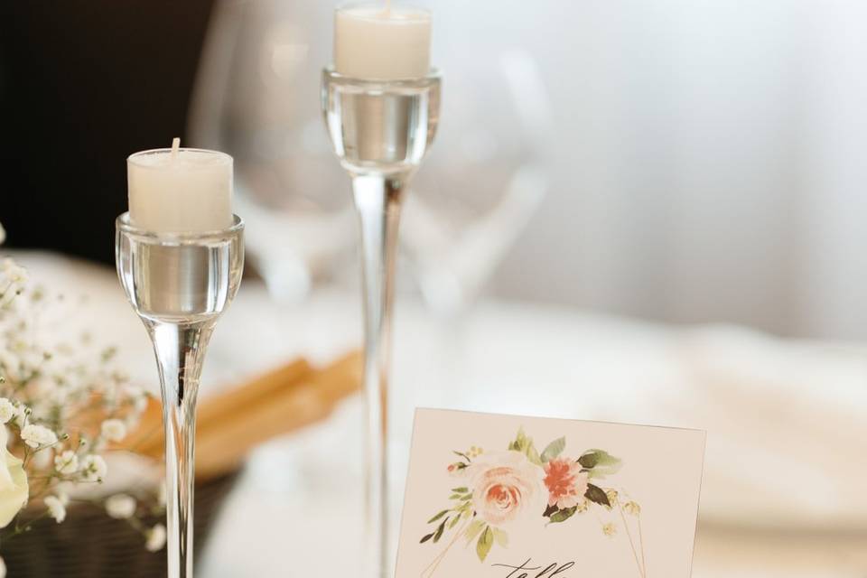 Aries Wedding Photo