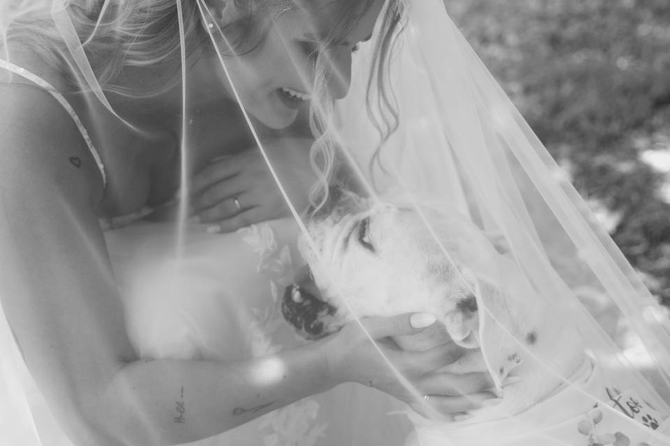 Sposa e cagnolino
