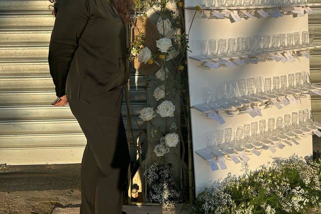 Daniela Violi Wedding and Event Planner