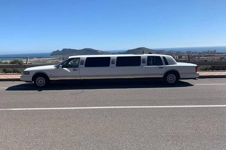 Wedding in Limousine