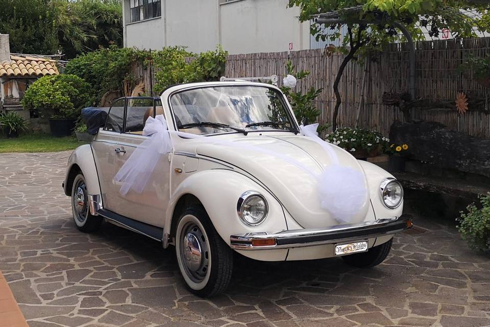 Volkswagen maggiolone cabrio