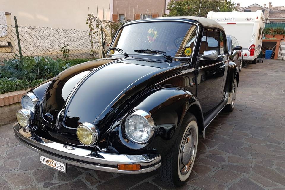 Volkswagen maggiolone cabrio