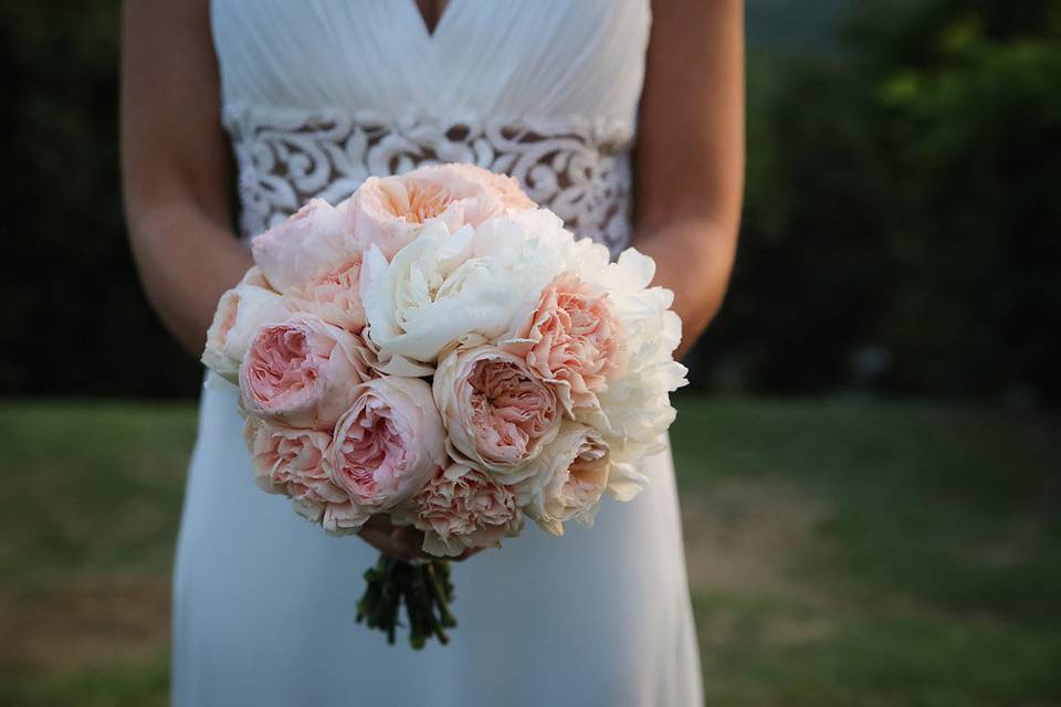 Garden roses