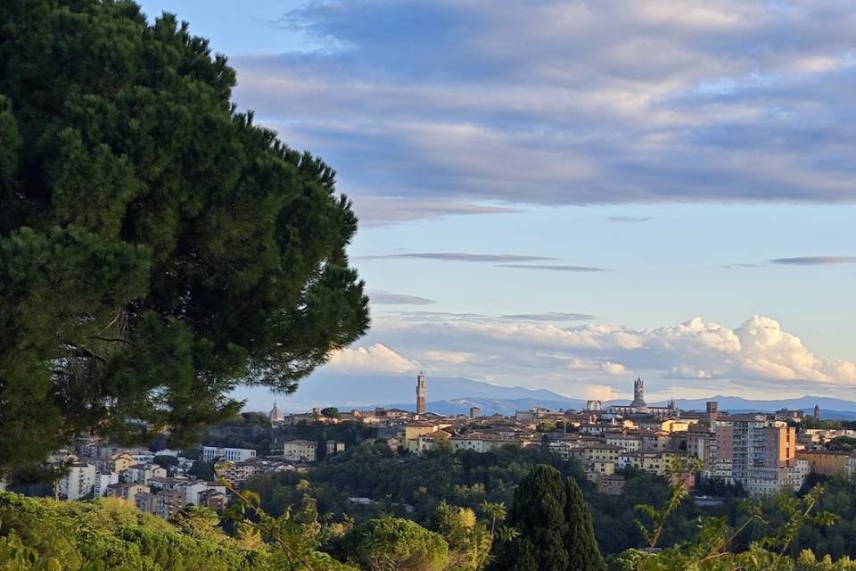 View of siena