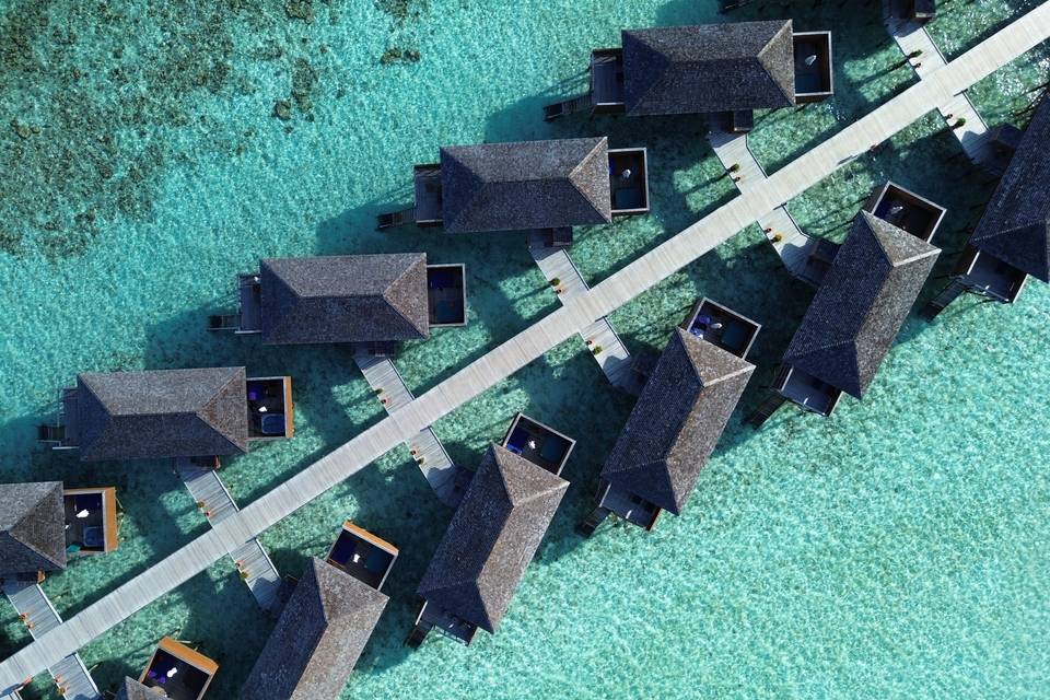 Maldive