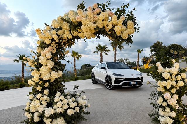 Matrimonio urus bianca