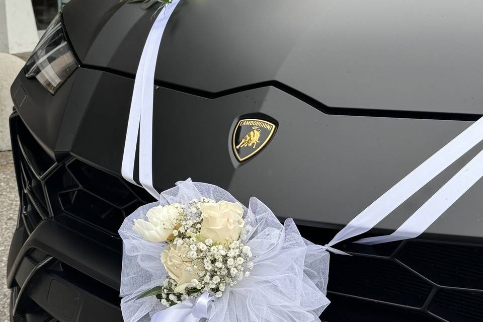Fiori urus
