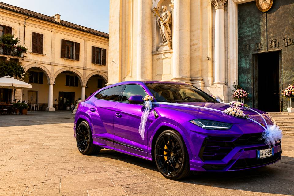 Montichiari urus