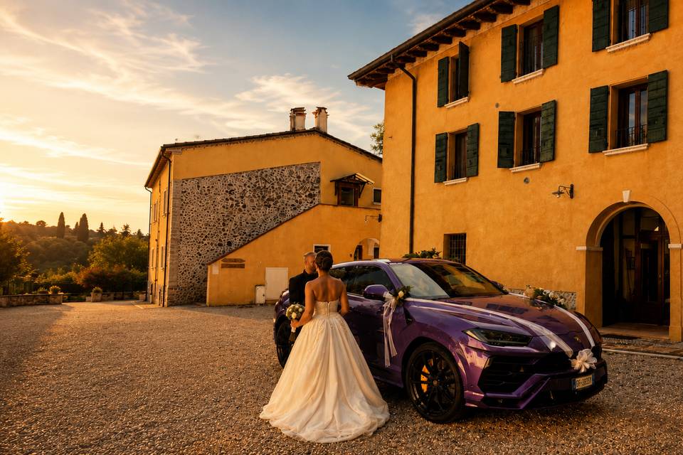 Urus viola