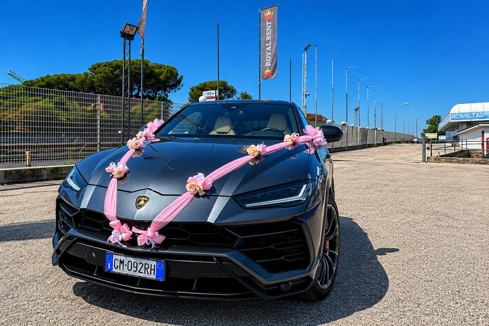 Battesimo urus