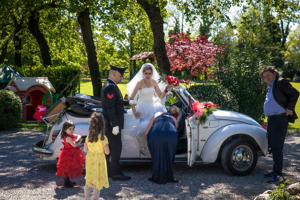 Matrimonio con gli alpaca