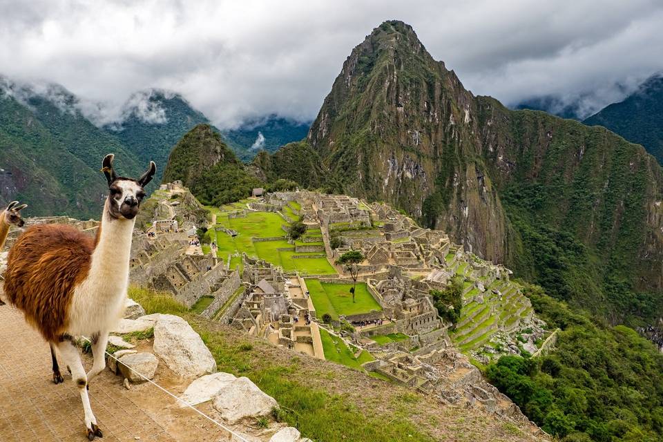 Machu Picchu - Perù