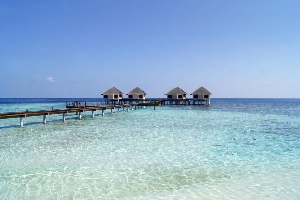 Maldive