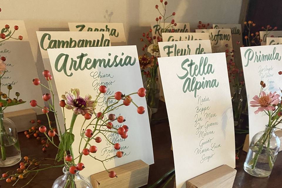 Partecipazioni