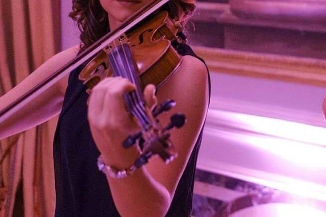 Violinista