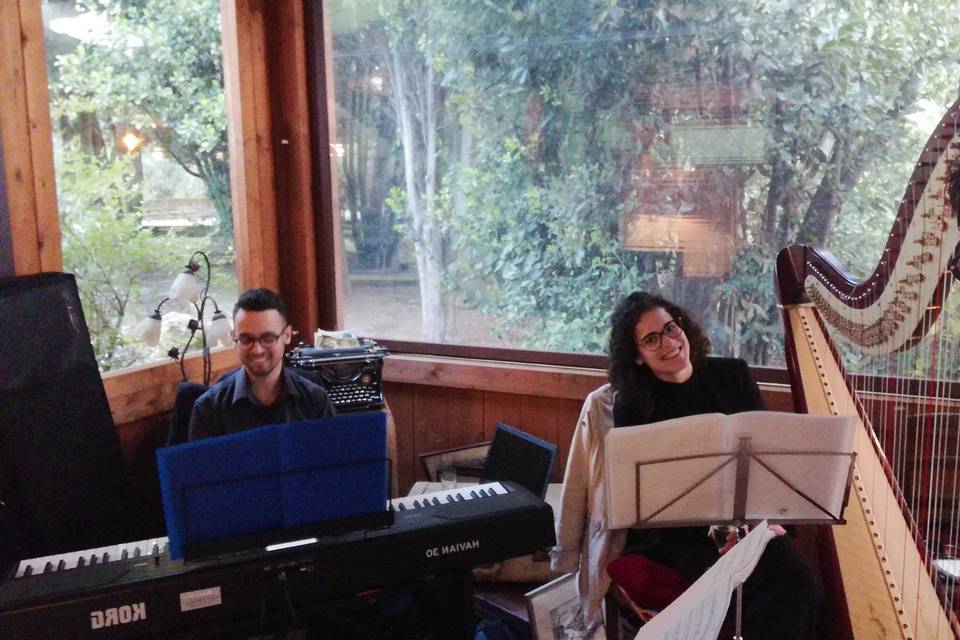 Piano arpa