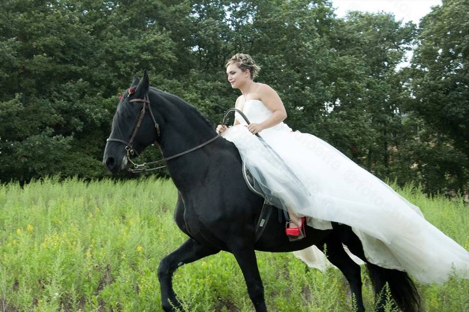 Passeggiata a cavallo